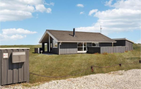 Pet Friendly Home In Hvide Sande With House A Panoramic View
